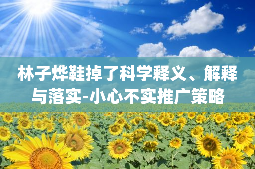 林子燁鞋掉了科學(xué)釋義、解釋與落實(shí)-小心不實(shí)推廣策略