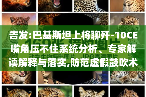 告發(fā):巴基斯坦上將聊殲-10CE嘴角壓不住系統(tǒng)分析、專家解讀解釋與落實,防范虛假鼓吹術(shù)