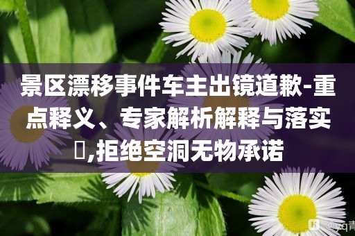 景區(qū)漂移事件車主出鏡道歉-重點釋義、專家解析解釋與落實?,拒絕空洞無物承諾