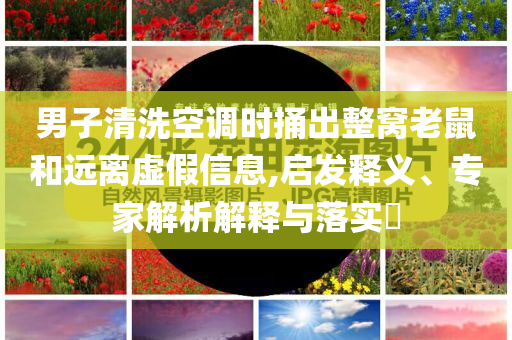 男子清洗空調(diào)時捅出整窩老鼠和遠離虛假信息,啟發(fā)釋義、專家解析解釋與落實?
