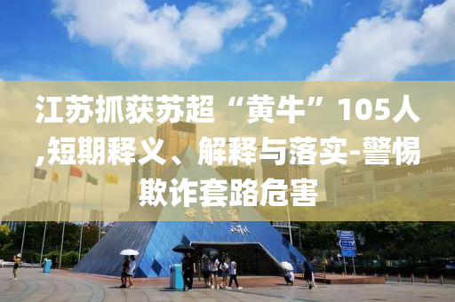 江蘇抓獲蘇超“黃牛”105人,短期釋義、解釋與落實(shí)-警惕欺詐套路危害
