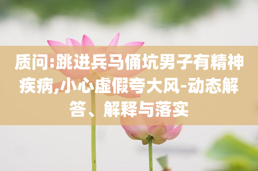 質(zhì)問:跳進(jìn)兵馬俑坑男子有精神疾病,小心虛假夸大風(fēng)-動(dòng)態(tài)解答、解釋與落實(shí)