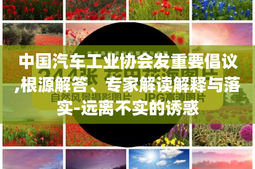 中國(guó)汽車工業(yè)協(xié)會(huì)發(fā)重要倡議,根源解答、專家解讀解釋與落實(shí)-遠(yuǎn)離不實(shí)的誘惑