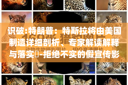 識(shí)破:特朗普：特斯拉將由美國(guó)制造詳細(xì)剖析、專家解讀解釋與落實(shí)?-拒絕不實(shí)的假宣傳影