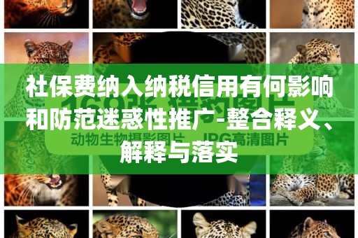 社保費(fèi)納入納稅信用有何影響和防范迷惑性推廣-整合釋義、解釋與落實(shí)