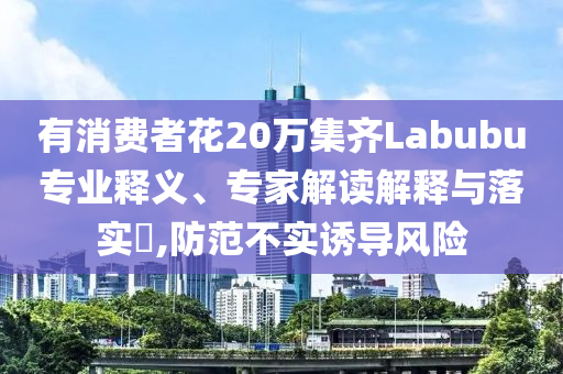 有消費(fèi)者花20萬集齊Labubu專業(yè)釋義、專家解讀解釋與落實(shí)?,防范不實(shí)誘導(dǎo)風(fēng)險(xiǎn)