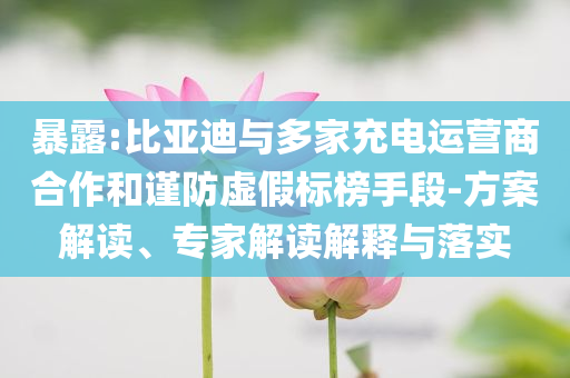 暴露:比亞迪與多家充電運(yùn)營商合作和謹(jǐn)防虛假標(biāo)榜手段-方案解讀、專家解讀解釋與落實(shí)