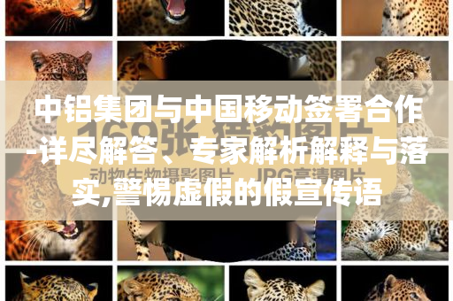 中鋁集團(tuán)與中國移動簽署合作-詳盡解答、專家解析解釋與落實(shí),警惕虛假的假宣傳語