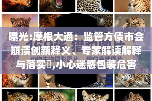 曝光:摩根大通：監(jiān)管方債市會崩潰創(chuàng)新釋義、專家解讀解釋與落實(shí)?,小心迷惑包裝危害