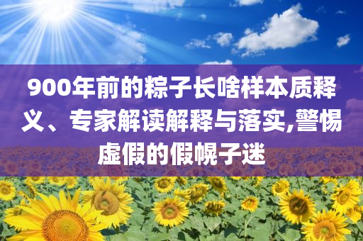 900年前的粽子長啥樣本質(zhì)釋義、專家解讀解釋與落實,警惕虛假的假幌子迷
