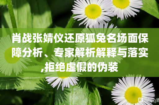 肖戰(zhàn)張婧儀還原狐兔名場面保障分析、專家解析解釋與落實,拒絕虛假的偽裝