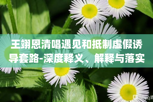 王翊恩清唱遇見和抵制虛假誘導套路-深度釋義、解釋與落實