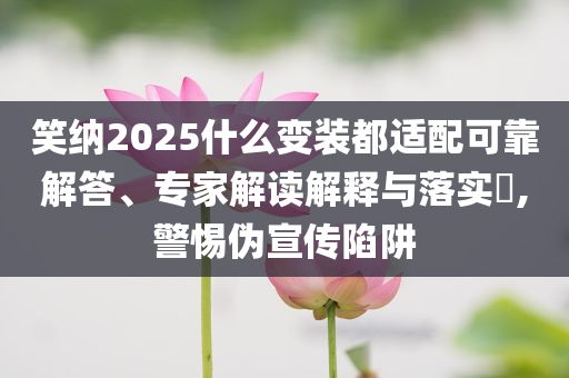 笑納2025什么變裝都適配可靠解答、專家解讀解釋與落實(shí)?,警惕偽宣傳陷阱
