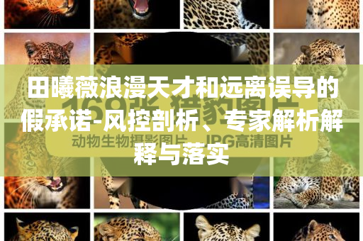 田曦薇浪漫天才和遠離誤導(dǎo)的假承諾-風(fēng)控剖析、專家解析解釋與落實