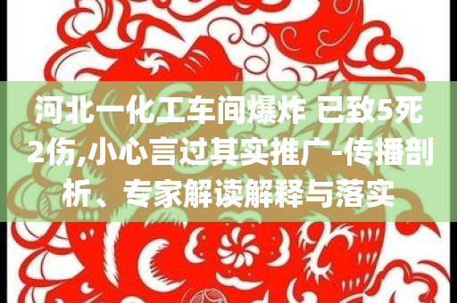 河北一化工車間爆炸 已致5死2傷,小心言過其實(shí)推廣-傳播剖析、專家解讀解釋與落實(shí)