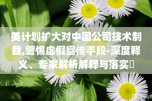 美計劃擴大對中國公司技術(shù)制裁,警惕虛假宣傳手段-深度釋義、專家解析解釋與落實?