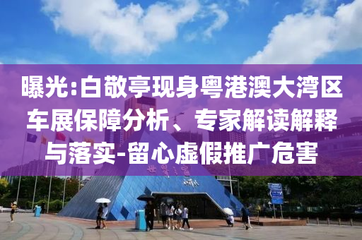 曝光:白敬亭現(xiàn)身粵港澳大灣區(qū)車展保障分析、專家解讀解釋與落實(shí)-留心虛假推廣危害