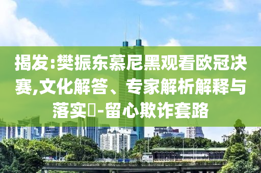 揭發(fā):樊振東慕尼黑觀(guān)看歐冠決賽,文化解答、專(zhuān)家解析解釋與落實(shí)?-留心欺詐套路