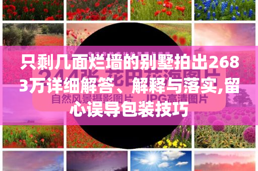 只剩幾面爛墻的別墅拍出2683萬詳細(xì)解答、解釋與落實(shí),留心誤導(dǎo)包裝技巧