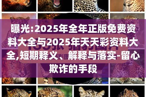 曝光:2025年全年正版免費(fèi)資料大全與2025年天天彩資料大全,短期釋義、解釋與落實(shí)-留心欺詐的手段