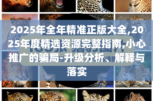 2025年全年精準(zhǔn)正版大全,2025年度精選資源完整指南,小心推廣的騙局-升級(jí)分析、解釋與落實(shí)