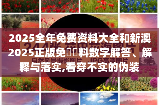 2025全年免費(fèi)資料大全和新澳2025正版免費(fèi)資料數(shù)字解答、解釋與落實(shí),看穿不實(shí)的偽裝