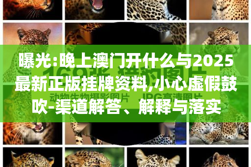 曝光:晚上澳門開什么與2025最新正版掛牌資料,小心虛假鼓吹-渠道解答、解釋與落實(shí)