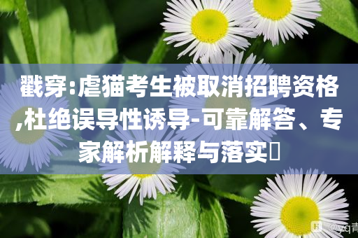 戳穿:虐貓考生被取消招聘資格,杜絕誤導(dǎo)性誘導(dǎo)-可靠解答、專家解析解釋與落實(shí)?