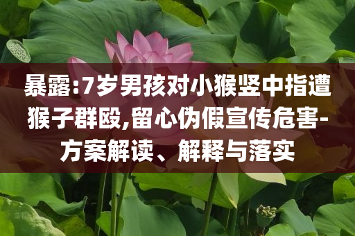 暴露:7歲男孩對(duì)小猴豎中指遭猴子群毆,留心偽假宣傳危害-方案解讀、解釋與落實(shí)