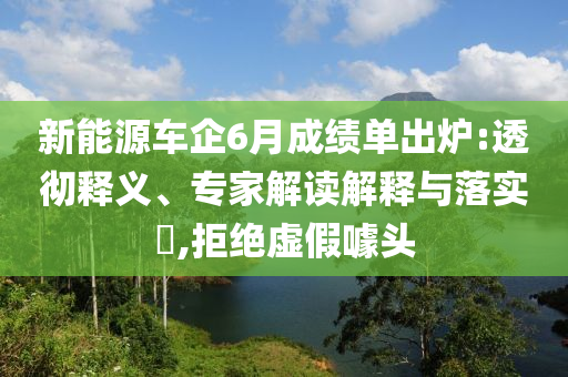 新能源車企6月成績單出爐:透徹釋義、專家解讀解釋與落實?,拒絕虛假噱頭