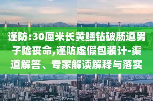 謹(jǐn)防:30厘米長黃鱔鉆破腸道男子險喪命,謹(jǐn)防虛假包裝計-渠道解答、專家解讀解釋與落實