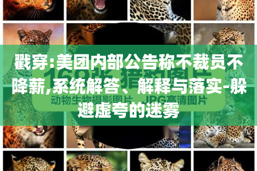 戳穿:美團內部公告稱不裁員不降薪,系統(tǒng)解答、解釋與落實-躲避虛夸的迷霧