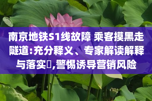 南京地鐵S1線故障 乘客摸黑走隧道:充分釋義、專家解讀解釋與落實?,警惕誘導(dǎo)營銷風(fēng)險