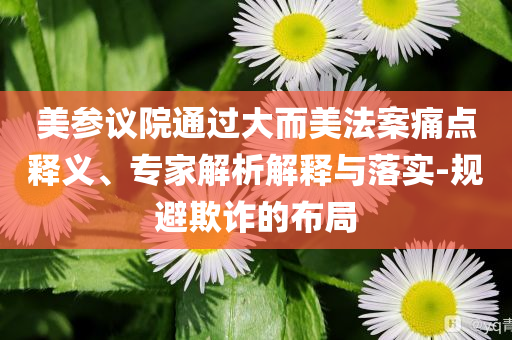 美參議院通過大而美法案痛點釋義、專家解析解釋與落實-規(guī)避欺詐的布局