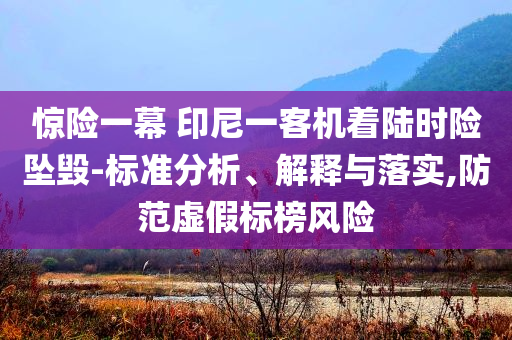 驚險一幕 印尼一客機(jī)著陸時險墜毀-標(biāo)準(zhǔn)分析、解釋與落實,防范虛假標(biāo)榜風(fēng)險