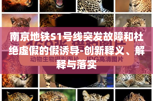 南京地鐵S1號線突發(fā)故障和杜絕虛假的假誘導(dǎo)-創(chuàng)新釋義、解釋與落實