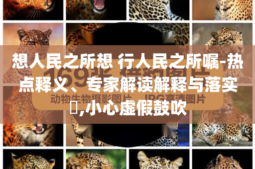想人民之所想 行人民之所囑-熱點(diǎn)釋義、專家解讀解釋與落實(shí)?,小心虛假鼓吹