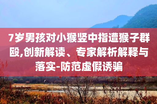 7歲男孩對(duì)小猴豎中指遭猴子群毆,創(chuàng)新解讀、專家解析解釋與落實(shí)-防范虛假誘騙