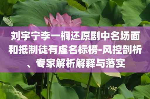 劉宇寧李一桐還原劇中名場(chǎng)面和抵制徒有虛名標(biāo)榜-風(fēng)控剖析、專家解析解釋與落實(shí)