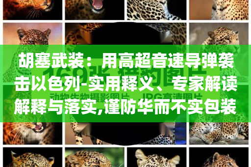 胡塞武裝：用高超音速導(dǎo)彈襲擊以色列-實(shí)用釋義、專家解讀解釋與落實(shí),謹(jǐn)防華而不實(shí)包裝