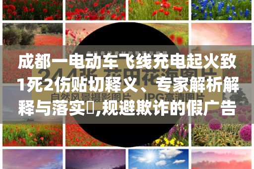 成都一電動(dòng)車(chē)飛線充電起火致1死2傷貼切釋義、專家解析解釋與落實(shí)?,規(guī)避欺詐的假?gòu)V告