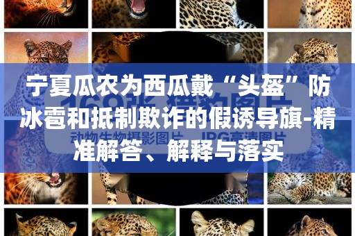 寧夏瓜農(nóng)為西瓜戴“頭盔”防冰雹和抵制欺詐的假誘導(dǎo)旗-精準(zhǔn)解答、解釋與落實(shí)