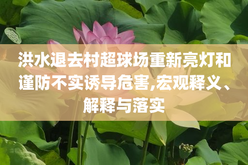 洪水退去村超球場重新亮燈和謹(jǐn)防不實誘導(dǎo)危害,宏觀釋義、解釋與落實