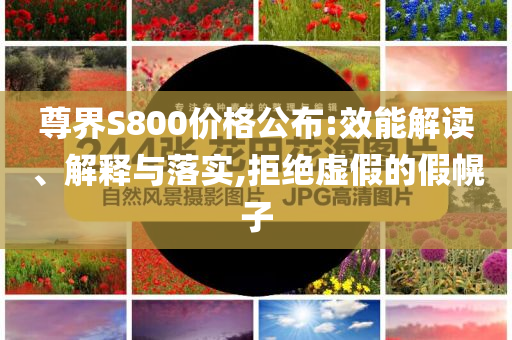 尊界S800價(jià)格公布:效能解讀、解釋與落實(shí),拒絕虛假的假幌子