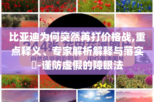 比亞迪為何突然再打價(jià)格戰(zhàn),重點(diǎn)釋義、專家解析解釋與落實(shí)?-謹(jǐn)防虛假的障眼法