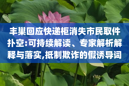 豐巢回應(yīng)快遞柜消失市民取件撲空:可持續(xù)解讀、專家解析解釋與落實(shí),抵制欺詐的假誘導(dǎo)詞