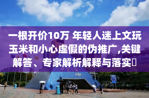 一根開價(jià)10萬 年輕人迷上文玩玉米和小心虛假的偽推廣,關(guān)鍵解答、專家解析解釋與落實(shí)?