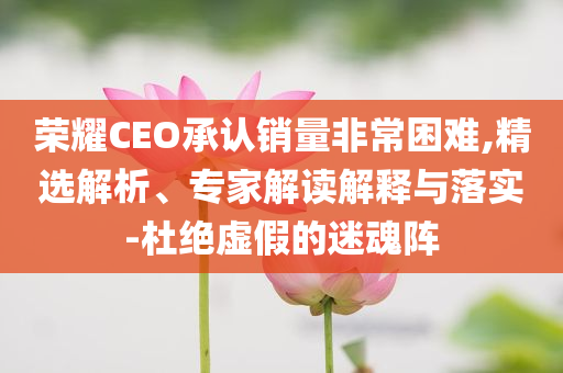 榮耀CEO承認銷量非常困難,精選解析、專家解讀解釋與落實-杜絕虛假的迷魂陣