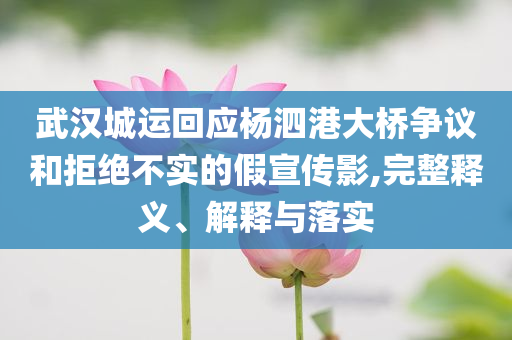 武漢城運(yùn)回應(yīng)楊泗港大橋爭(zhēng)議和拒絕不實(shí)的假宣傳影,完整釋義、解釋與落實(shí)