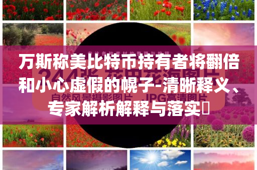 萬斯稱美比特幣持有者將翻倍和小心虛假的幌子-清晰釋義、專家解析解釋與落實?